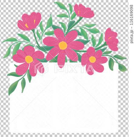 Pink flowers Pink flowers 116169098