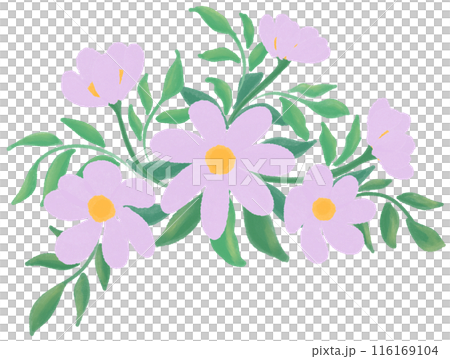 Purple flowers 116169104