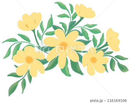 yellow flowers 116169106