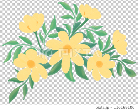 yellow flowers yellow flowers 116169106