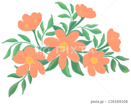 Orange flowers  116169108