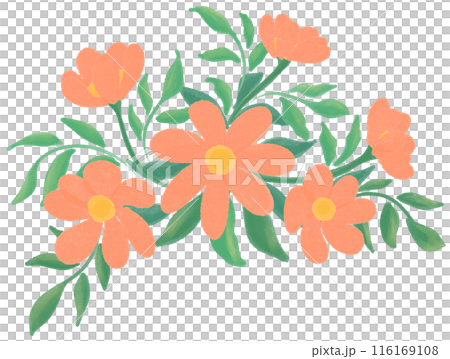 Orange flowers  116169108