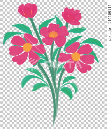 Dark pink flowers 116169113