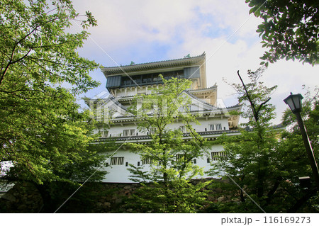 小倉城(福岡県・北九州市) 小倉城(福岡県・北九州市) 116169273