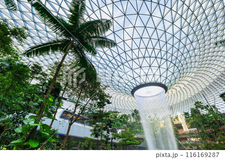 シンガポール　チャンギ国際空港　ジュエルの人工滝 116169287