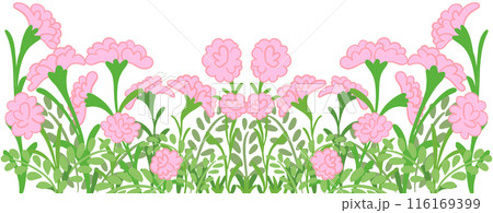 row of pink flowers row of pink flowers 116169399