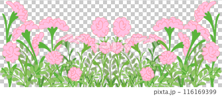 row of pink flowers row of pink flowers 116169399