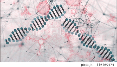 Image of network of connections, dna and molecular structures floating against grey background 116169474