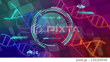 Image of dna strands spinning and scientific data processing 116169500
