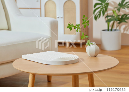 The photography was shot from front view in living room scene. On the wooden table, having an empty white platform for product presentation, next to it is a white vase of green plant, space for text 116170683