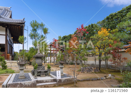 大徳寺塔頭　総見院　茶筅塚と本堂 116171560