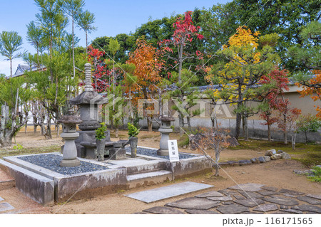 大徳寺塔頭 総見院 茶筅塚 大徳寺塔頭 総見院 茶筅塚 116171565