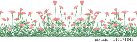 row of red flowers row of red flowers 116171845