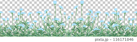 row of blue flowers 116171846