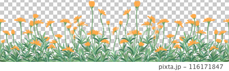 row of orange 116171847