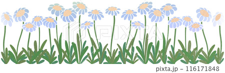 row of blue flowers row of blue flowers 116171848