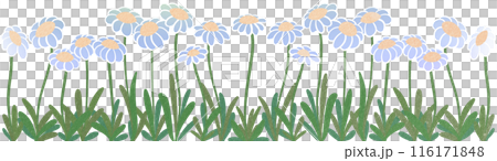 row of blue flowers 116171848