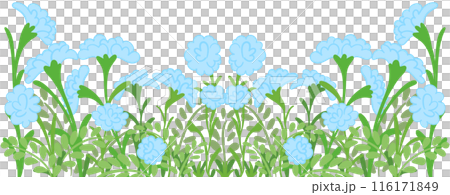 row of blue flowers 116171849