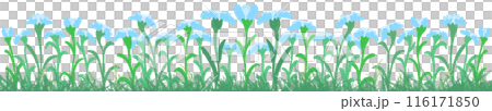 row of blue flowers row of blue flowers 116171850