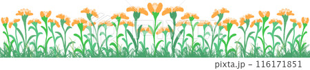 row of orange 116171851
