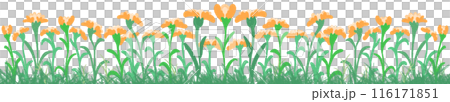 row of orange row of orange 116171851