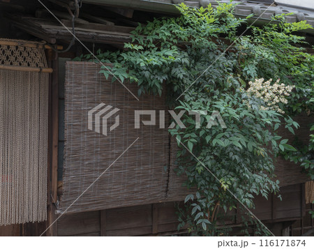 東京 神楽坂の路地裏の風景 東京 神楽坂の路地裏の風景 116171874