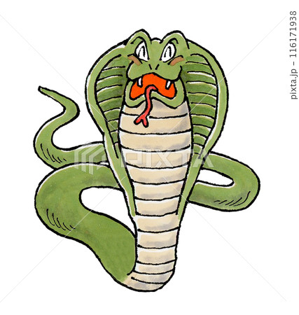 喜ぶコブラ 116171938