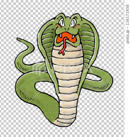 喜ぶコブラ 116171938