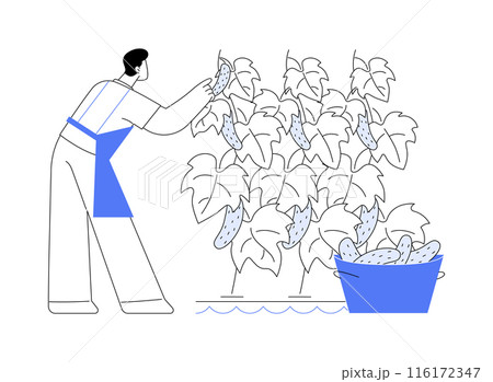 Hydroponic cucumber production abstract concept vector illustration. 116172347