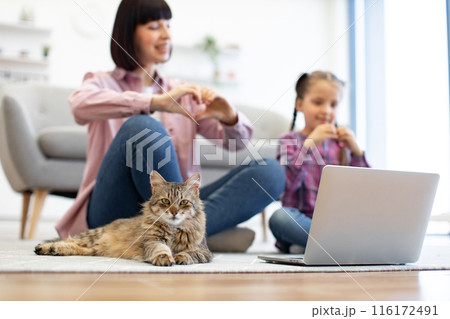 Mother and daughter making heart hands with laptop and cat Mother and daughter making heart hands with laptop and cat 116172491