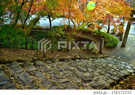 秋月城跡 福岡 九州 紅葉 秋月城跡 福岡 九州 紅葉 116172725