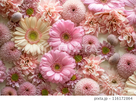 華やかな花の壁紙のイラスト素材 [116172864] - PIXTA