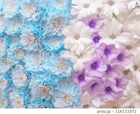 華やかな花の壁紙 116172872