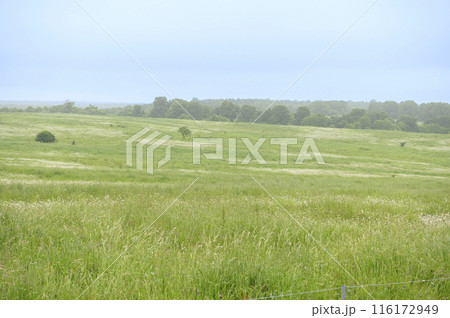 北海道 十勝牧場展望台 116172949