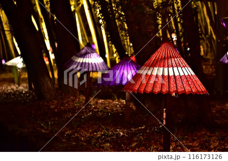 イルミネーション　広島　備北丘陵公園 116173126