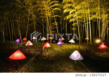 イルミネーション　広島　備北丘陵公園 116173127