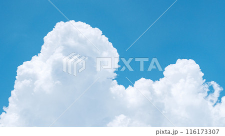 夏の青空 夏の青空 116173307