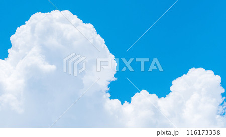 夏の青空 夏の青空 116173338