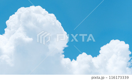 夏の青空 夏の青空 116173339