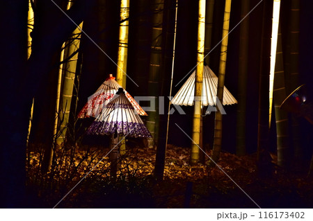 イルミネーション　広島　備北丘陵公園 116173402