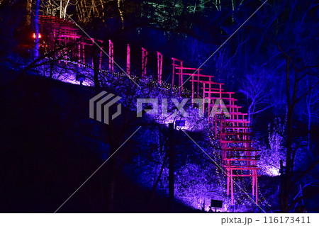 イルミネーション 広島 備北丘陵公園 イルミネーション 広島 備北丘陵公園 116173411