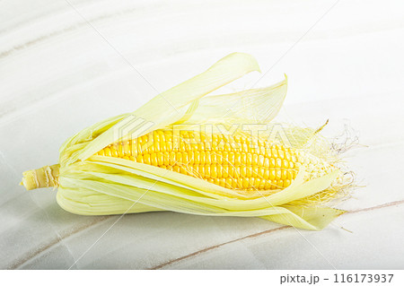Raw sweet ripe yellow Corn 116173937