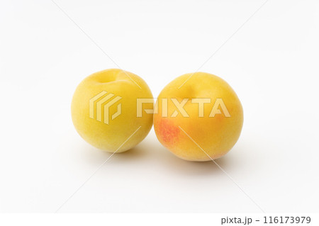 完熟した南高梅の実 116173979