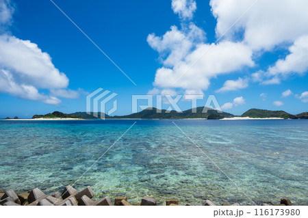 慶良間諸島、座間味島から見た空と海と島の風景 116173980