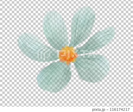 Mint green flower head 116174217