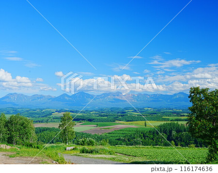 北海道の絶景 初夏の就実の丘と大雪山連邦 116174636