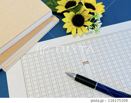 夏休みの宿題・読書感想文 116175109