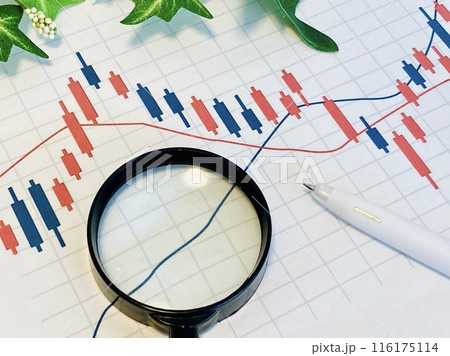 株価チャートを分析する 株価チャートを分析する 116175114