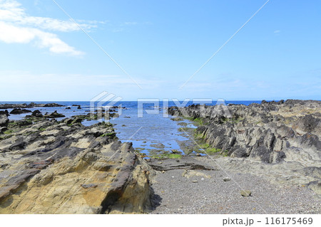 荒崎海岸 荒崎海岸 116175469