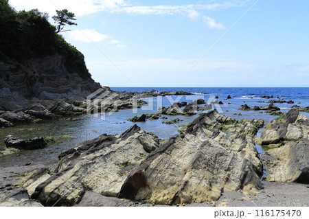 荒崎海岸 荒崎海岸 116175470